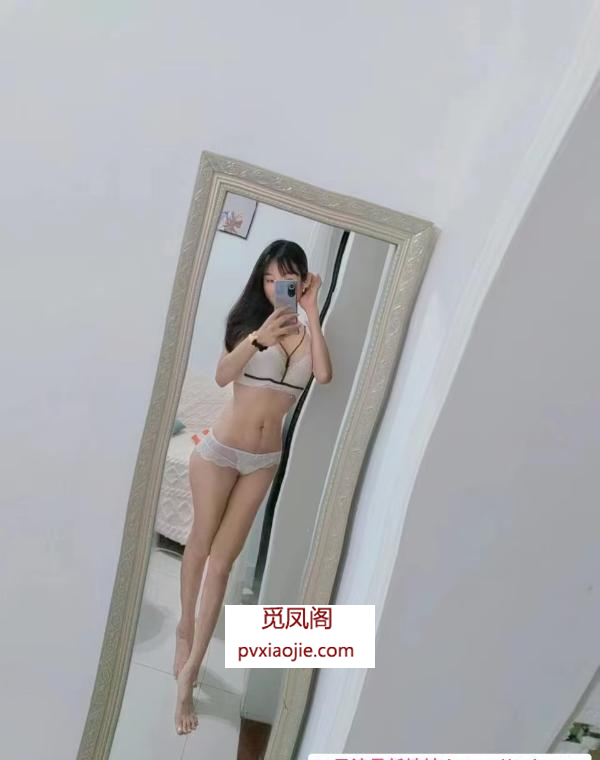 罗湖服务系小狐狸