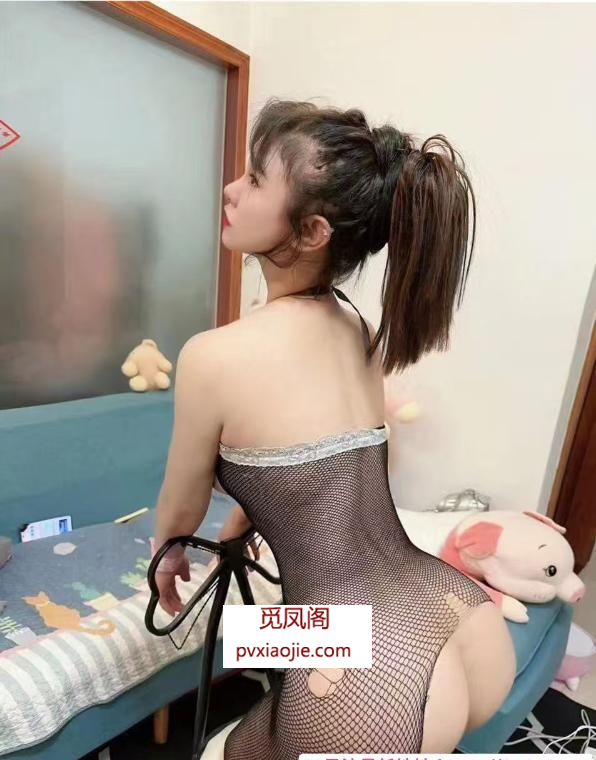 南山马达臀兔子