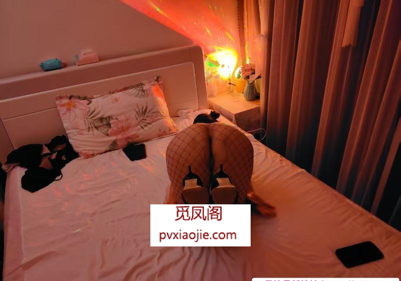 龙江长腿渔网袜