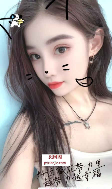 南开全套小家伙